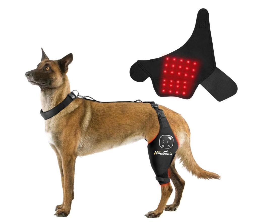 Dog Knee Brace